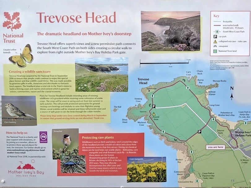 Trevose_Head